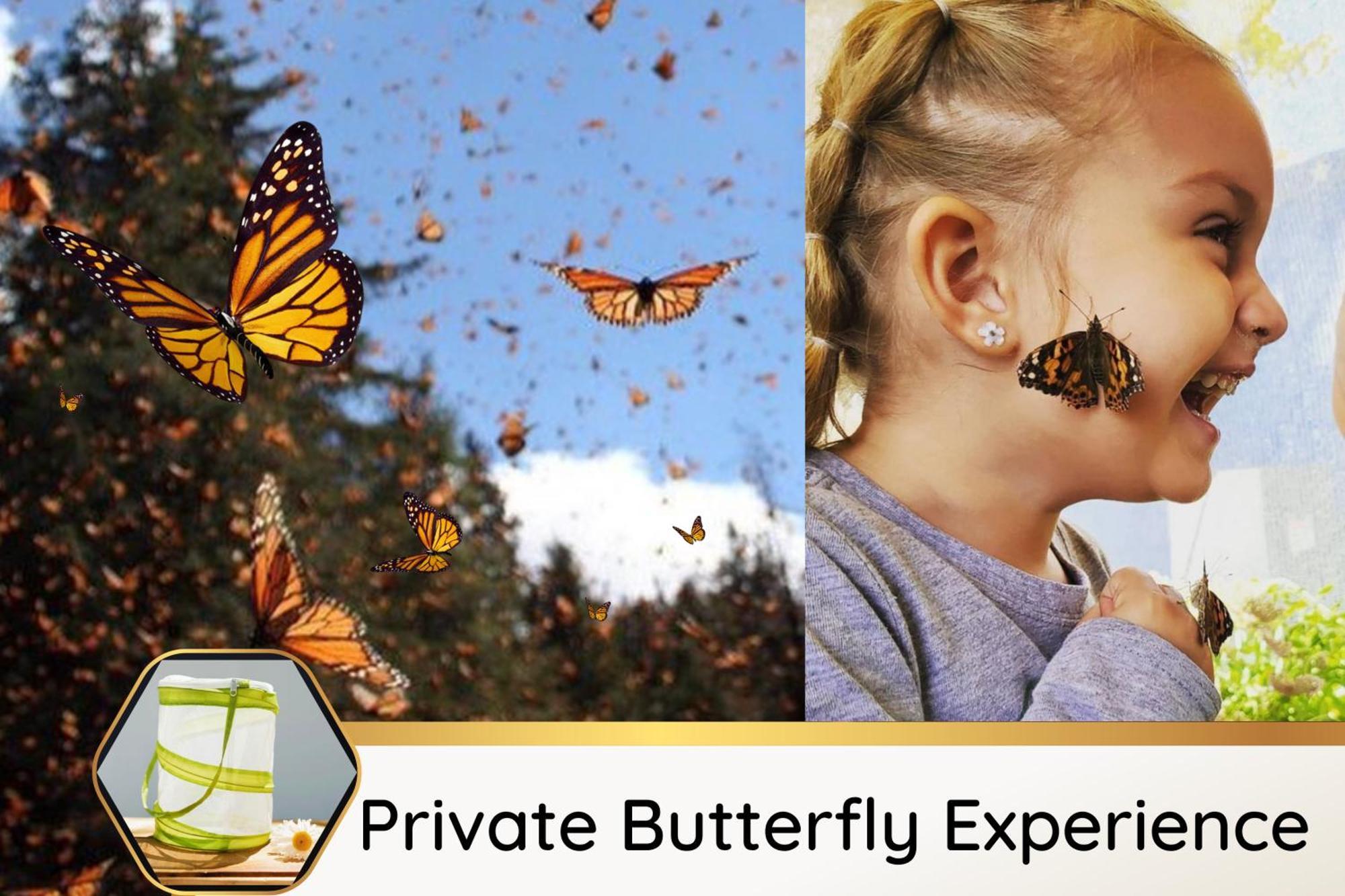 Butterfly Themed Kings Apartment With Private Garage & Access To Lux Hot Tub, Bbq & Gym South Jordan Exteriör bild